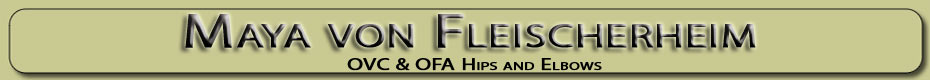 Maya von Fleischerheim is owned by Pen-Din German Shepherds