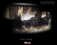Based in the Czech Republic Denbrix breeds top quality working German Shepherds